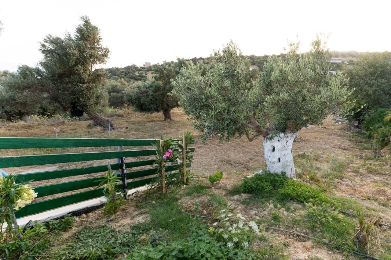 Villa Galini House Triopetra Exterior foto